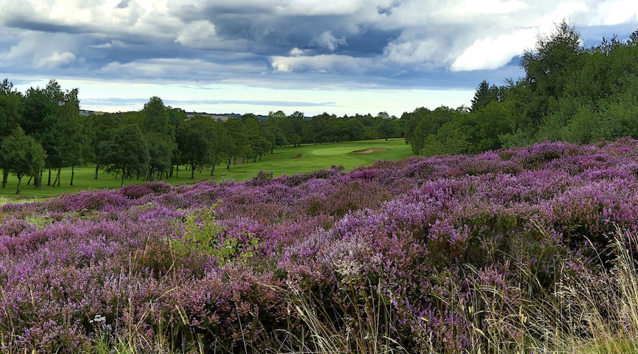 Photo of South Moor Golf Club
